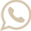 Watsapp Icon